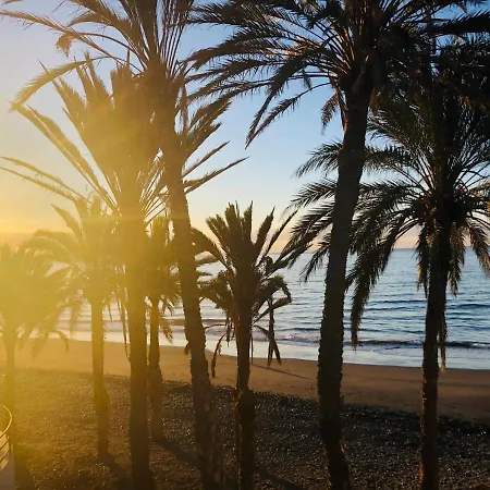 公寓 Pharus Retro New Heated Pool 马斯帕洛马斯