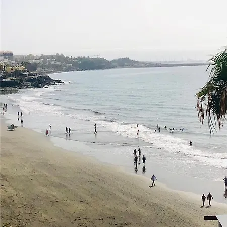 Pharus Retro New Heated Pool